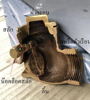 ลิ้นกันกลับแบบโยก (Swing Check Valve)